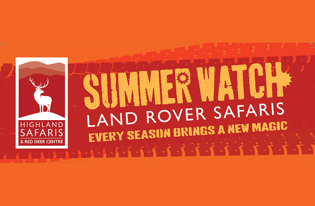 Summer Watch Safaris 2019